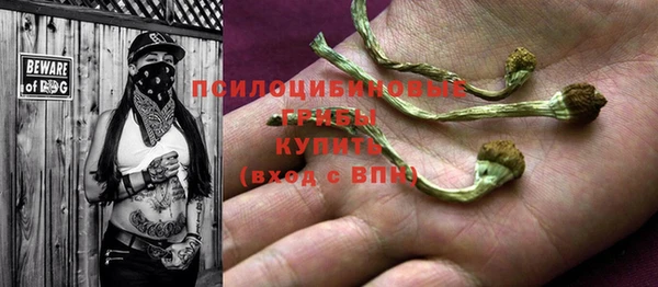 2c-b Алексин