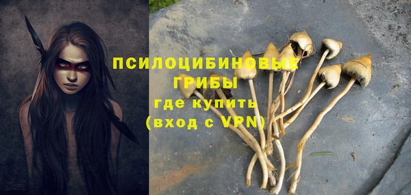 ALPHA PVP Алексеевка